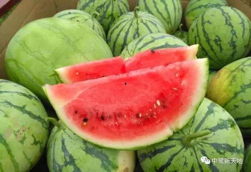 今日吃瓜51cg,揭秘娱乐圈最新热点事件