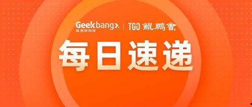 爆料网每日精选最新消息.热点暴料,爆料网每日精选最新消息，独家暴料一网打尽